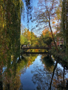 Buxtehude Altstadt7