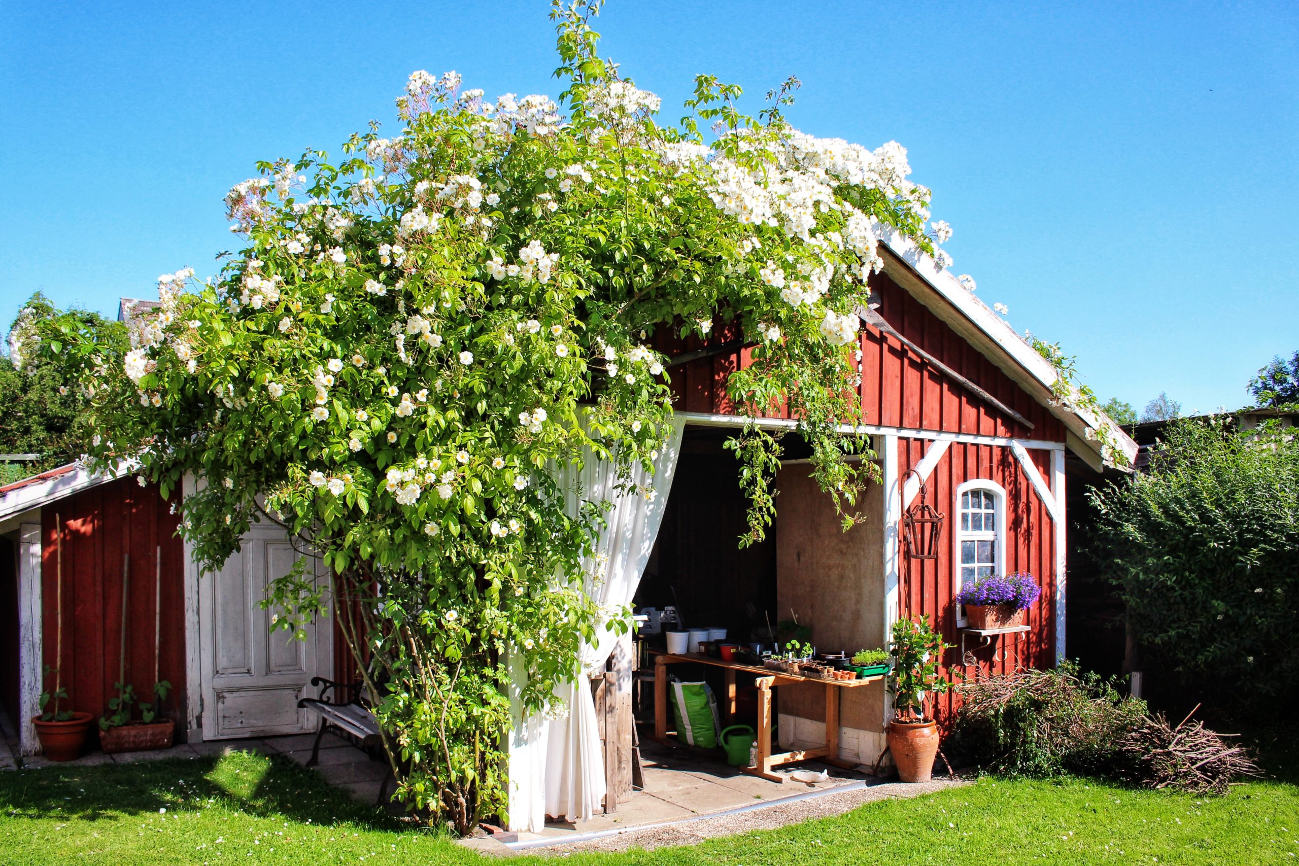 Carport2